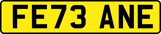 FE73ANE