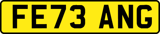 FE73ANG