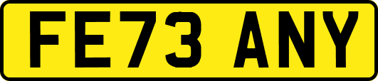 FE73ANY