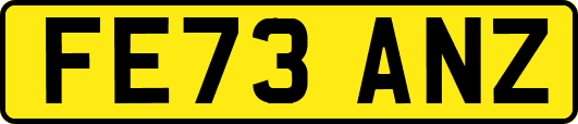 FE73ANZ