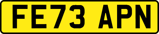 FE73APN
