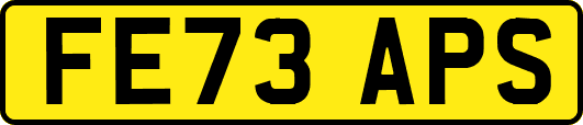 FE73APS