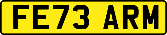 FE73ARM