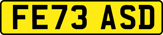 FE73ASD