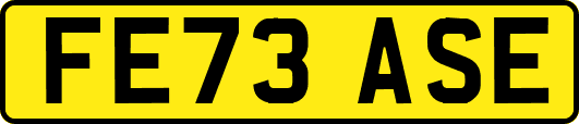 FE73ASE