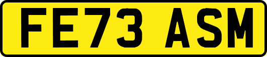 FE73ASM