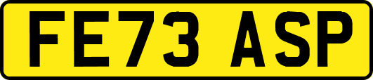 FE73ASP