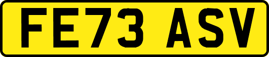 FE73ASV