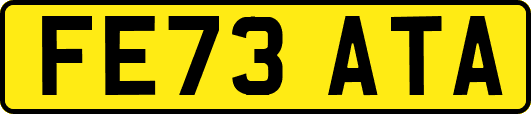 FE73ATA