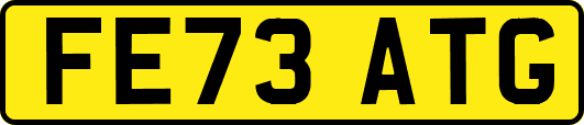 FE73ATG