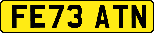 FE73ATN