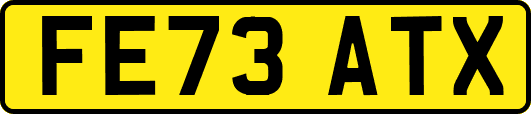FE73ATX