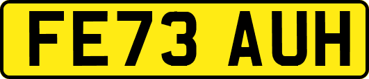 FE73AUH