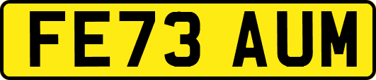 FE73AUM