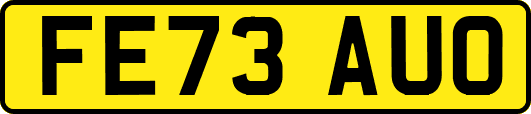FE73AUO