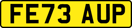FE73AUP