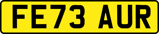 FE73AUR