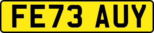 FE73AUY
