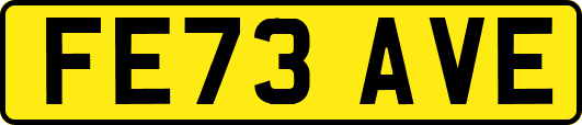 FE73AVE