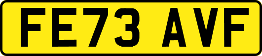 FE73AVF