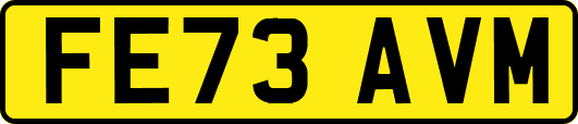 FE73AVM