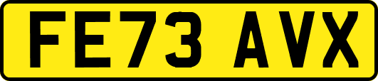 FE73AVX