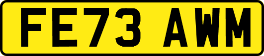 FE73AWM