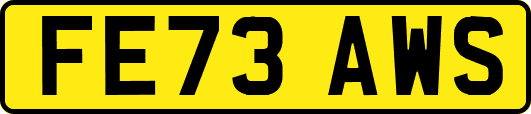 FE73AWS