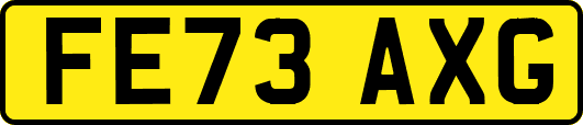 FE73AXG