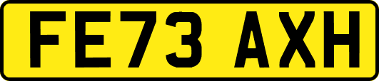FE73AXH