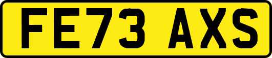FE73AXS