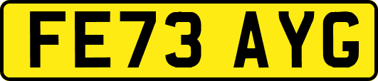 FE73AYG