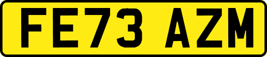 FE73AZM