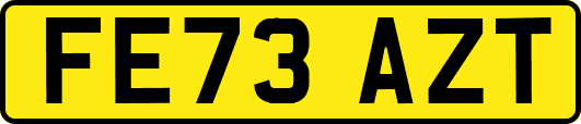 FE73AZT
