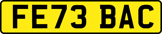 FE73BAC