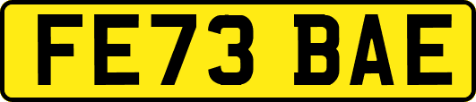 FE73BAE