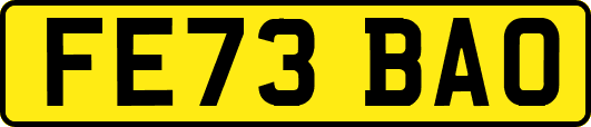 FE73BAO
