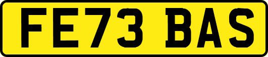 FE73BAS