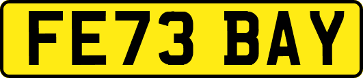 FE73BAY