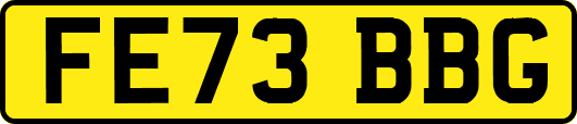 FE73BBG