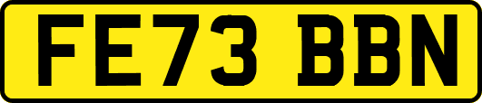 FE73BBN
