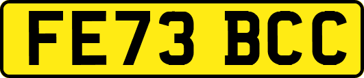 FE73BCC