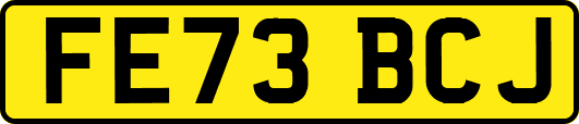 FE73BCJ
