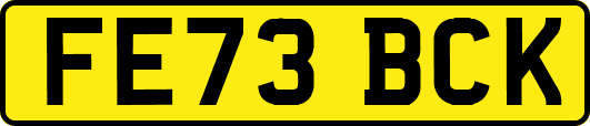 FE73BCK