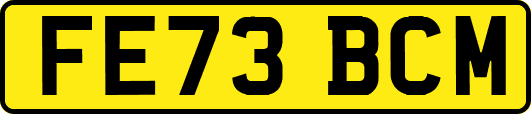 FE73BCM