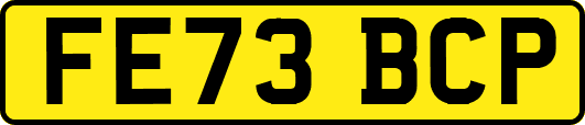 FE73BCP