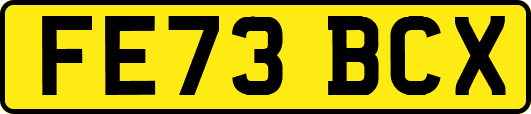 FE73BCX