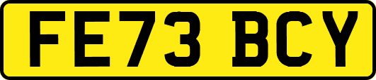 FE73BCY