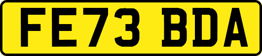 FE73BDA