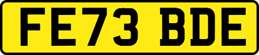 FE73BDE